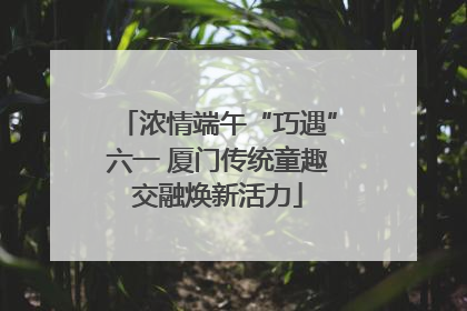 浓情端午“巧遇”六一 厦门传统童趣交融焕新活力