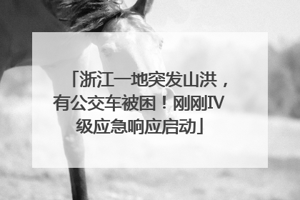 浙江一地突发山洪，有公交车被困！刚刚Ⅳ级应急响应启动