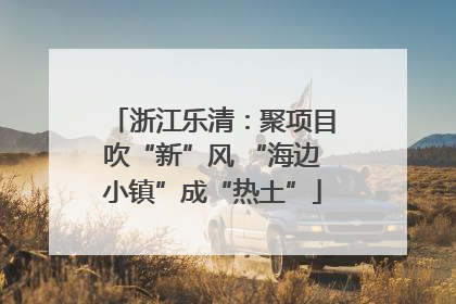 浙江乐清：聚项目吹“新”风 “海边小镇”成“热土”