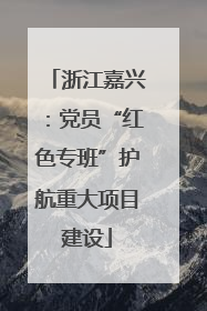 浙江嘉兴：党员“红色专班”护航重大项目建设