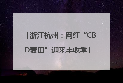 浙江杭州：网红“CBD麦田”迎来丰收季