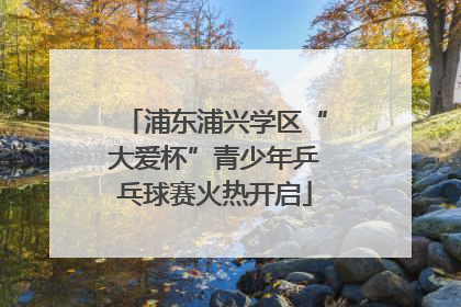 浦东浦兴学区“大爱杯”青少年乒乓球赛火热开启