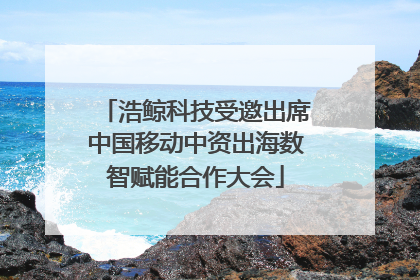 浩鲸科技受邀出席中国移动中资出海数智赋能合作大会