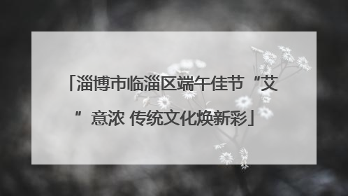 淄博市临淄区端午佳节“艾”意浓 传统文化焕新彩