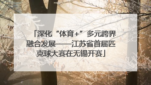 深化“体育+”多元跨界融合发展——江苏省首届匹克球大赛在无锡开赛