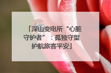 深山变电所“心脏守护者”：孤独守望护航旅客平安