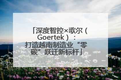 深度智控×歌尔（Goertek）：打造越南制造业“零碳”跃迁新标杆