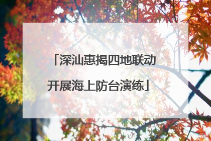 深汕惠揭四地联动开展海上防台演练