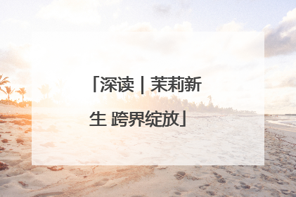 深读｜茉莉新生 跨界绽放