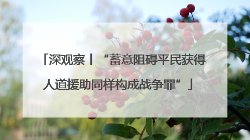 深观察丨“蓄意阻碍平民获得人道援助同样构成战争罪”