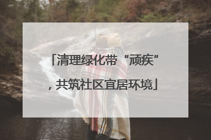 清理绿化带“顽疾”，共筑社区宜居环境