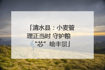清水县：小麦管理正当时 守护粮“芯”绘丰景