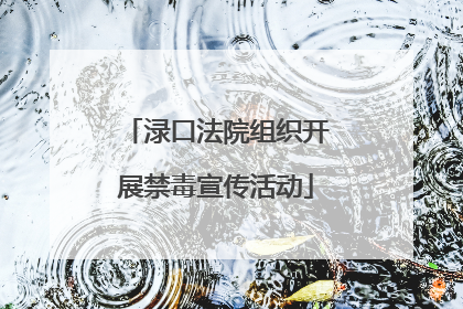 渌口法院组织开展禁毒宣传活动