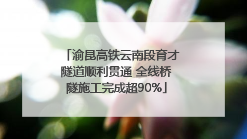 渝昆高铁云南段育才隧道顺利贯通 全线桥隧施工完成超90%
