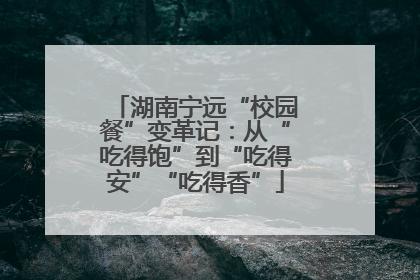 湖南宁远“校园餐”变革记：从“吃得饱”到“吃得安”“吃得香”