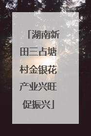 湖南新田三占塘村金银花产业兴旺促振兴