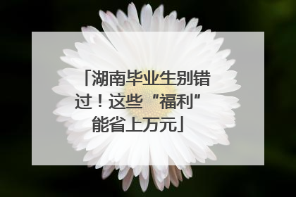 湖南毕业生别错过！这些“福利”能省上万元