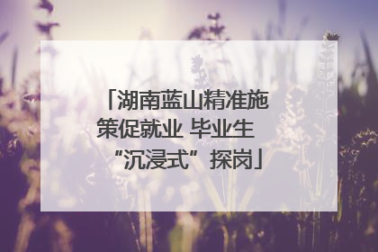 湖南蓝山精准施策促就业 毕业生“沉浸式”探岗