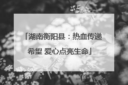 湖南衡阳县：热血传递希望 爱心点亮生命