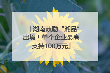 湖南鼓励“湘品”出境！单个企业最高支持100万元