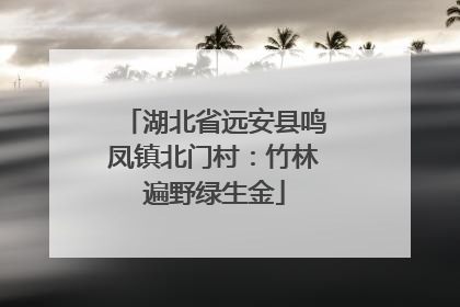 湖北省远安县鸣凤镇北门村：竹林遍野绿生金