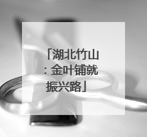 湖北竹山：金叶铺就振兴路