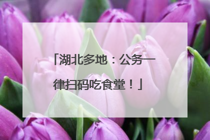 湖北多地：公务一律扫码吃食堂！