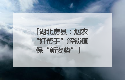 湖北房县：烟农“好帮手”解锁植保“新姿势”