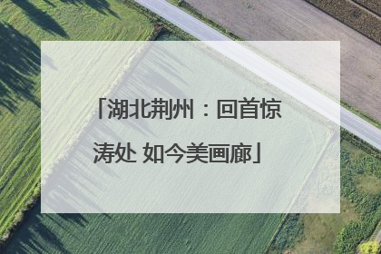 湖北荆州：回首惊涛处 如今美画廊
