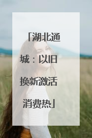 湖北通城：以旧换新激活消费热