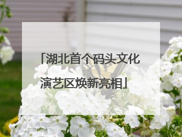 湖北首个码头文化演艺区焕新亮相