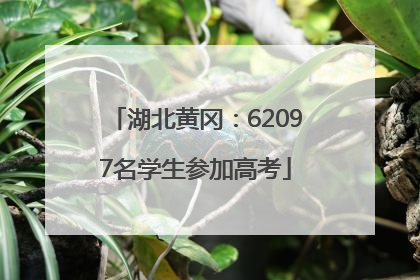 湖北黄冈：62097名学生参加高考