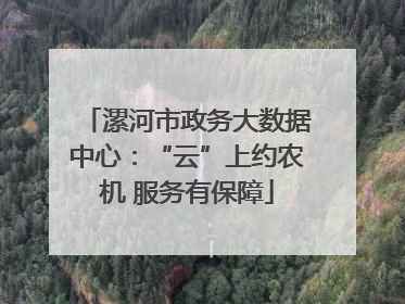 漯河市政务大数据中心：“云”上约农机 服务有保障