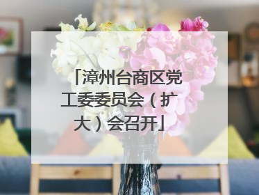 漳州台商区党工委委员会（扩大）会召开