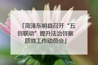 菏泽东明县召开“五督联动”提升法治督察质效工作动员会