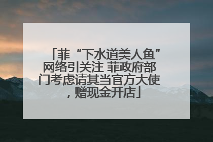 菲“下水道美人鱼”网络引关注 菲政府部门考虑请其当官方大使，赠现金开店
