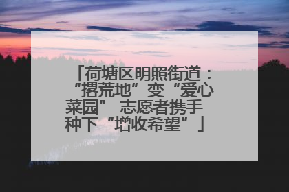 荷塘区明照街道：“撂荒地”变“爱心菜园” 志愿者携手种下“增收希望”