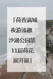 荷香满城夜游添趣 沙湖公园第11届荷花展开展