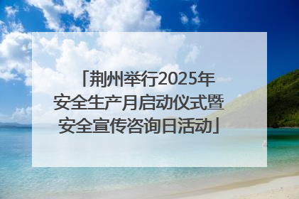 荆州举行2025年安全生产月启动仪式暨安全宣传咨询日活动
