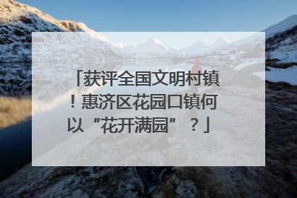 获评全国文明村镇！惠济区花园口镇何以“花开满园”？