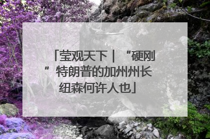 莹观天下｜“硬刚”特朗普的加州州长纽森何许人也