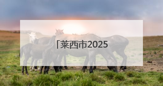 莱西市2025年“文化和自然遗产日”非遗主题系列活动圆满落幕