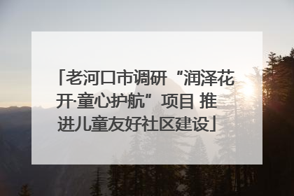老河口市调研“润泽花开·童心护航”项目 推进儿童友好社区建设