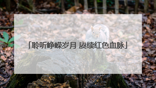 聆听峥嵘岁月 赓续红色血脉