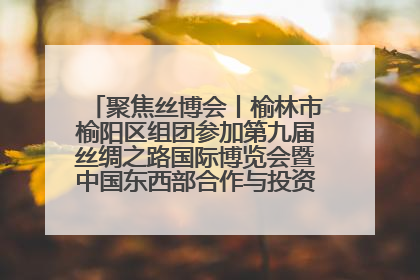 聚焦丝博会丨榆林市榆阳区组团参加第九届丝绸之路国际博览会暨中国东西部合作与投资贸易洽谈会