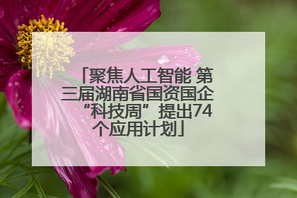 聚焦人工智能 第三届湖南省国资国企“科技周”提出74个应用计划