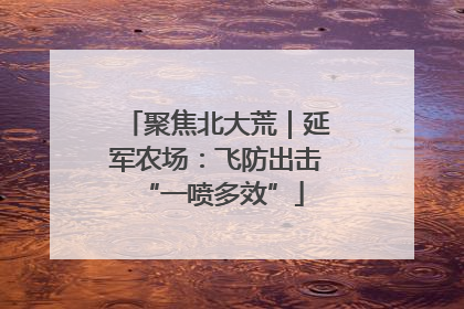 聚焦北大荒｜延军农场：飞防出击 “一喷多效”