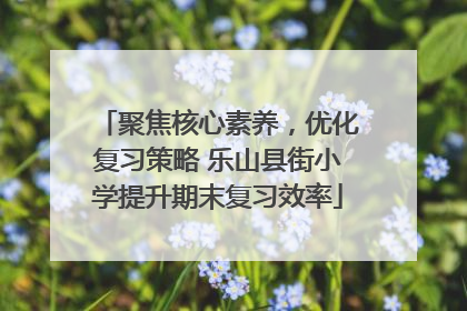 聚焦核心素养，优化复习策略 乐山县街小学提升期末复习效率
