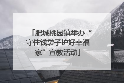 肥城桃园镇举办“守住钱袋子护好幸福家”宣教活动
