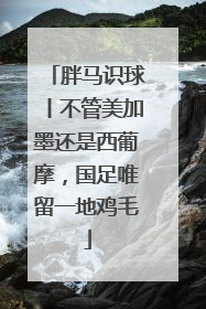 胖马识球丨不管美加墨还是西葡摩，国足唯留一地鸡毛
